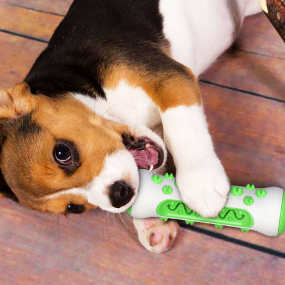 강아지 통나무 스틱 셀프 칫솔 양치 치석제거 장난감