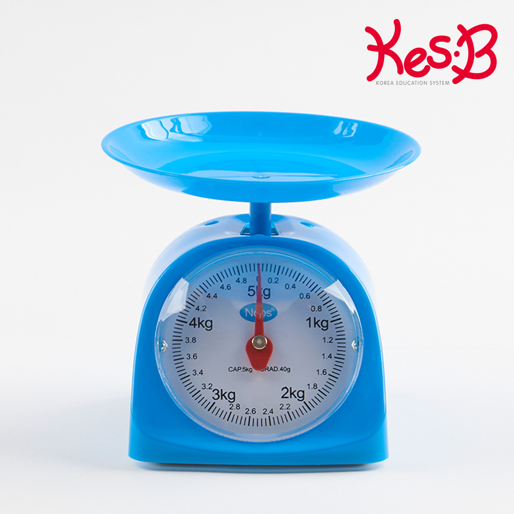 교육용앉은뱅이저울5kg(11202871)