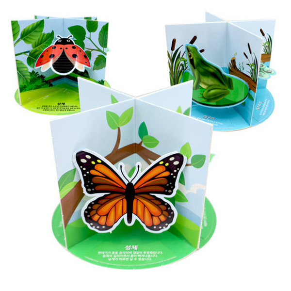 3D 한살이 3종 만들기 (3종 중 택1)