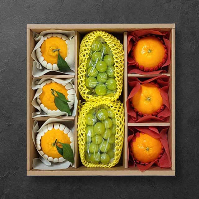 [산지직송] 알찬 한라봉/레드향/샤인머스켓 선물세트