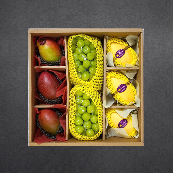 [정성담은] 명품 골드망고/애플망고/샤인머스켓 선물세트