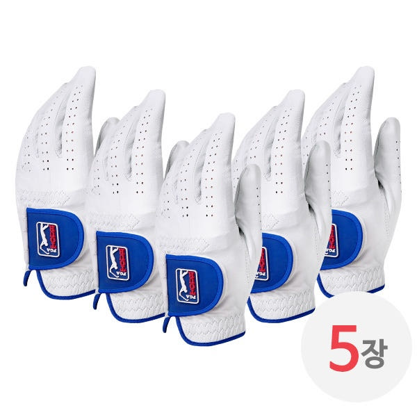 PGA TOUR 맥스 프로 양피 남성 골프장갑 5장세트