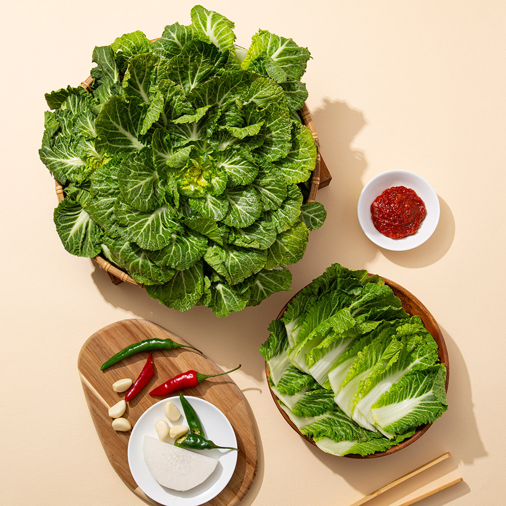 [더조은] 농부선별 제철 국내산 봄동 2kg