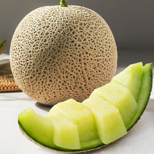 풍부한과즙과 부드러운 식감의 머스크메론 1수 (개당 1.5kg~2kg)