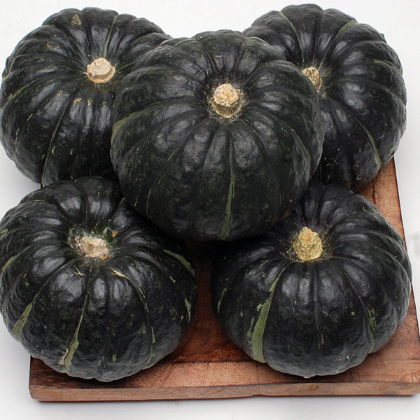 [푸토리] 공중재배 해남 미니밤호박 2kg(3~6과)