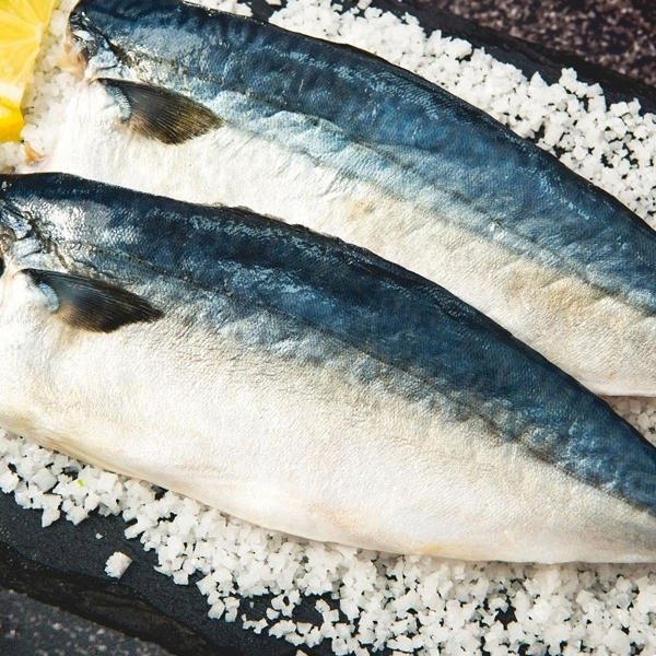 [안동맛자반] 순살간고등어 12팩+1팩 더(팩당 80g)