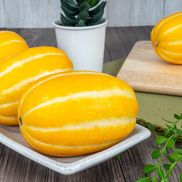 [푸토리] 향기좋은 금싸라기 성주 꿀참외 2kg (6-11과)