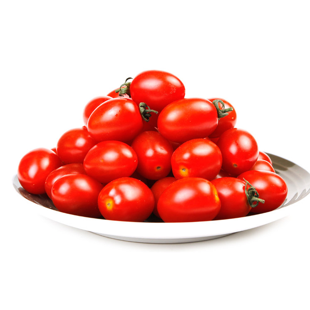 톡톡터지는 대추방울토마토 2kg(1~3번)