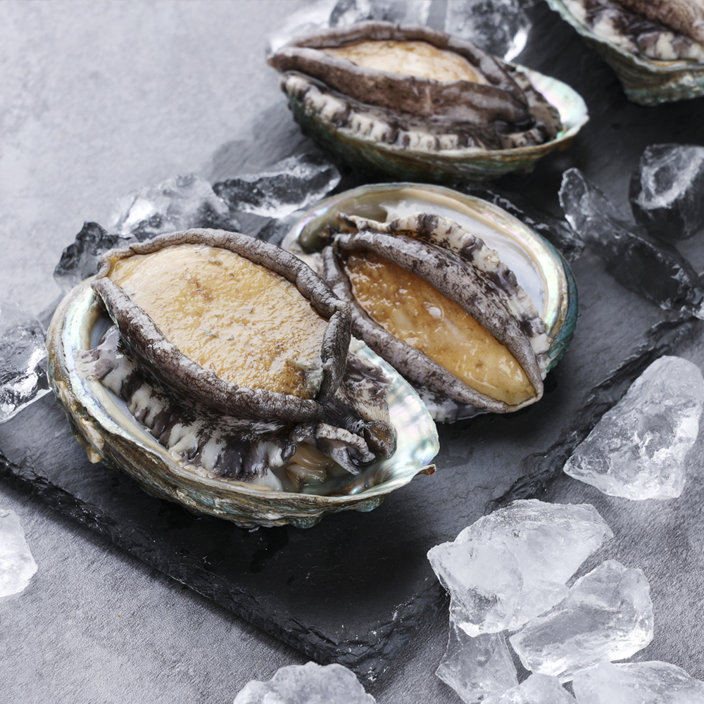 산지직송으로 더욱 신선한 완도 활전복 1kg(18-20미)