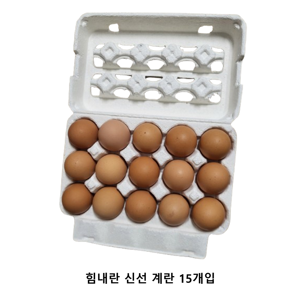 [HACCP] 힘내란 신선 대란(계란) 15개입