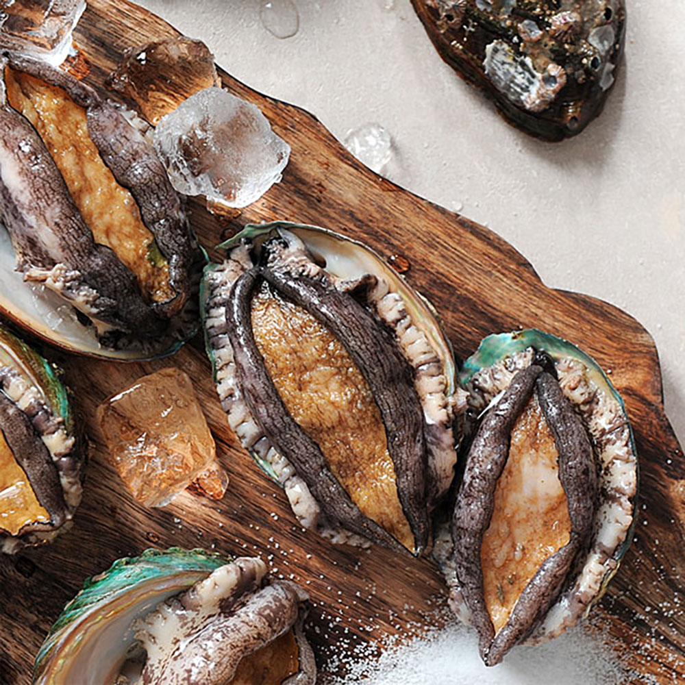 완도 찾아온 특별한 선물 활전복 2kg(14-16미)
