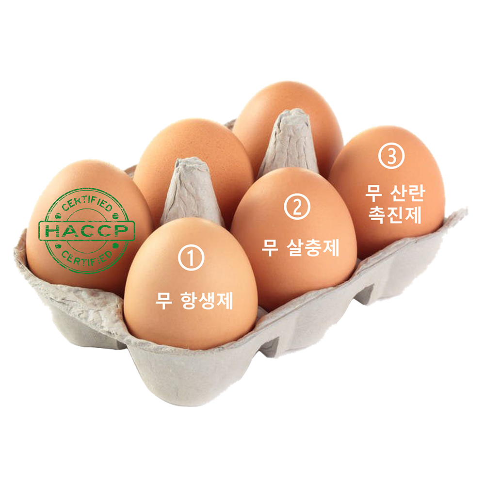 [HACCP] 힘내란 무항생제 왕란(계란) 15개입