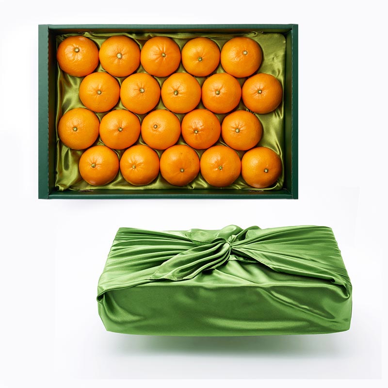 제주하우스 벨롱벨롱 제주 천혜향 선물세트 2.5kg (12과 내외)