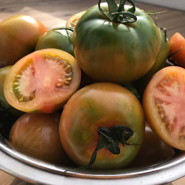 [바라봄] 대저 짭짤이 토마토 2.5kg(S_2S)