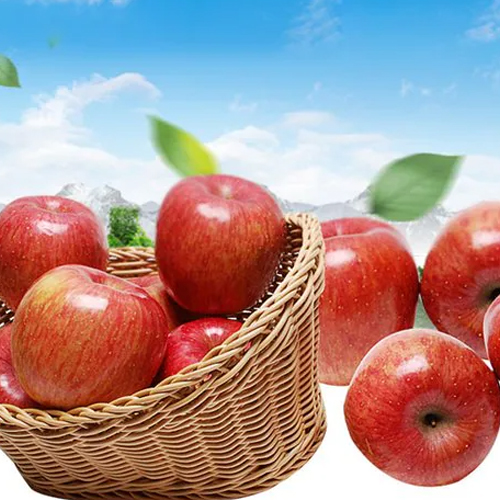 [햇살로] 신선한 사과 2kg(7~8과_중대과)_흠집과