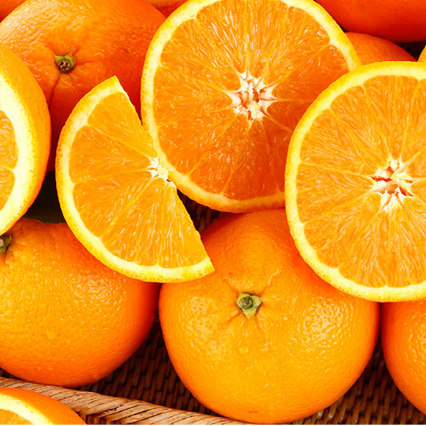 [청담음] 네이블 오렌지 2kg(4~7과)_대과