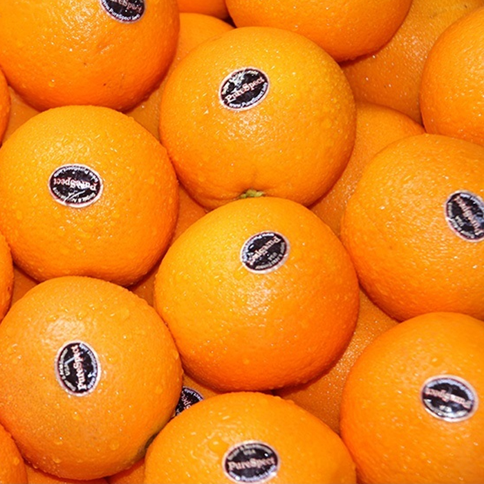 [청담음] 퓨어스펙 블랙라벨 오렌지 2kg(8~12과)_중과