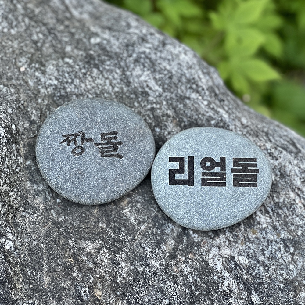 갓샵 쓸데없는 반려돌 애완돌 웃긴 선물 [짱돌 &amp; 리얼 쓸모없는 돌 신