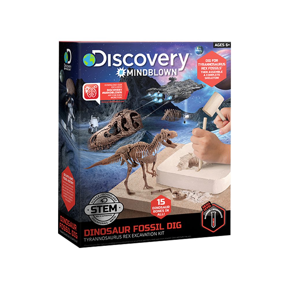 디스커버리-공룡 화석 캐기-3D 티렉스 이미지