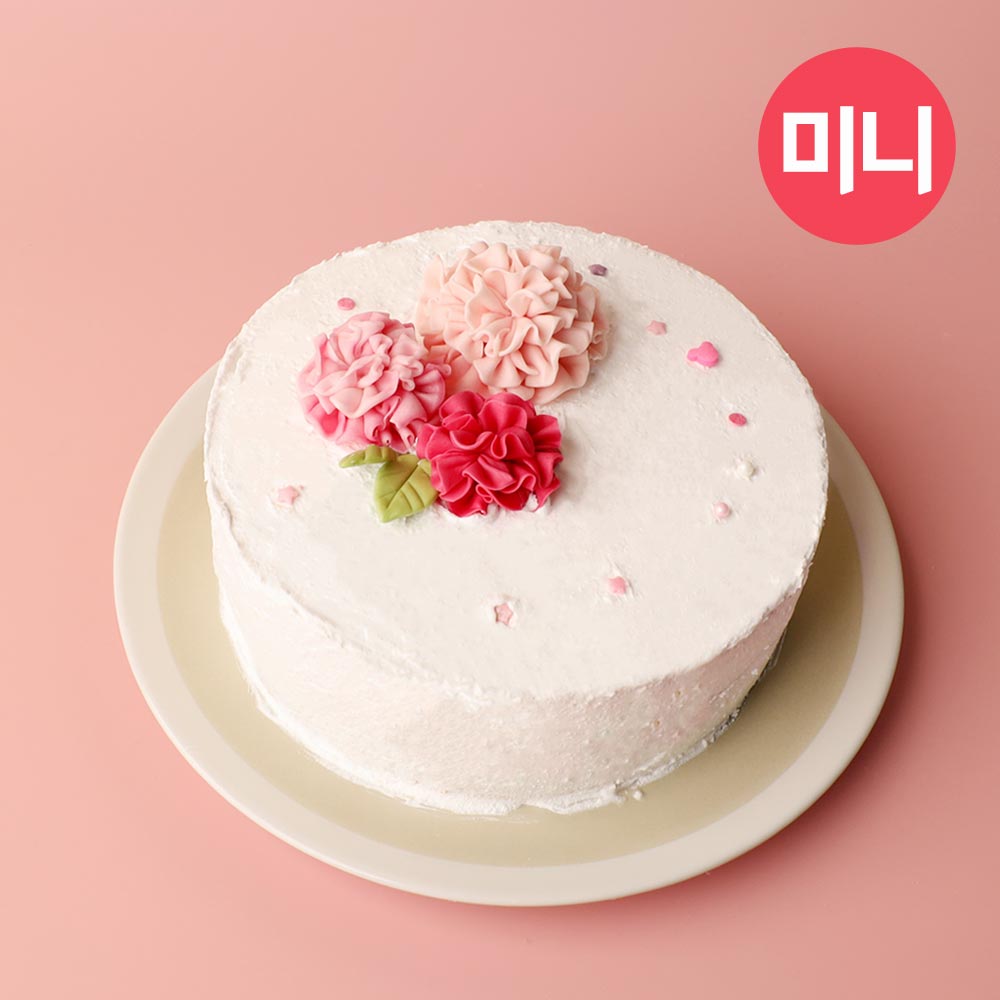 국내산 쌀로 만든 찌지 않고 바로 먹는 떡클레이 케이크 만들기 DIY 키트 카네이션케이크_미니