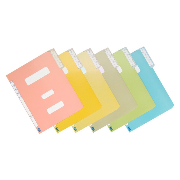 문화 정부화일 10개 팩 청색 A4 F194-71